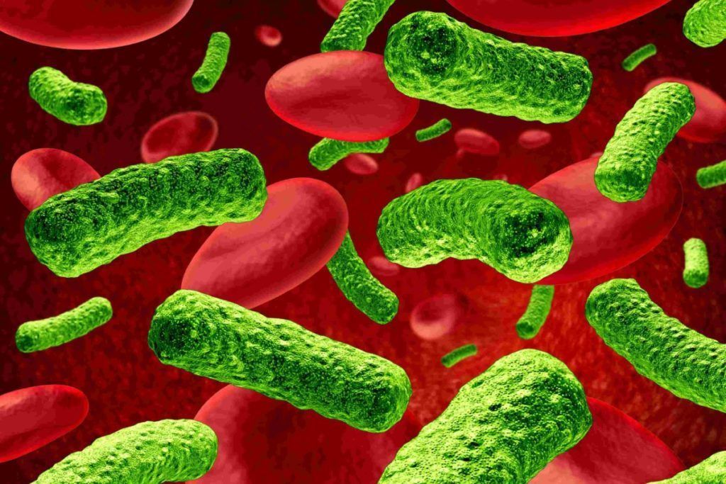Infecciones por bacterias