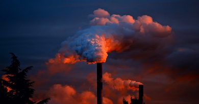 Oxigenoterapia hiperbárica para la intoxicación por monóxido de carbono 3